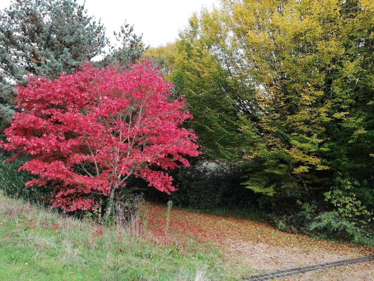 Le Gite Du Parc La Coquille 外观 照片