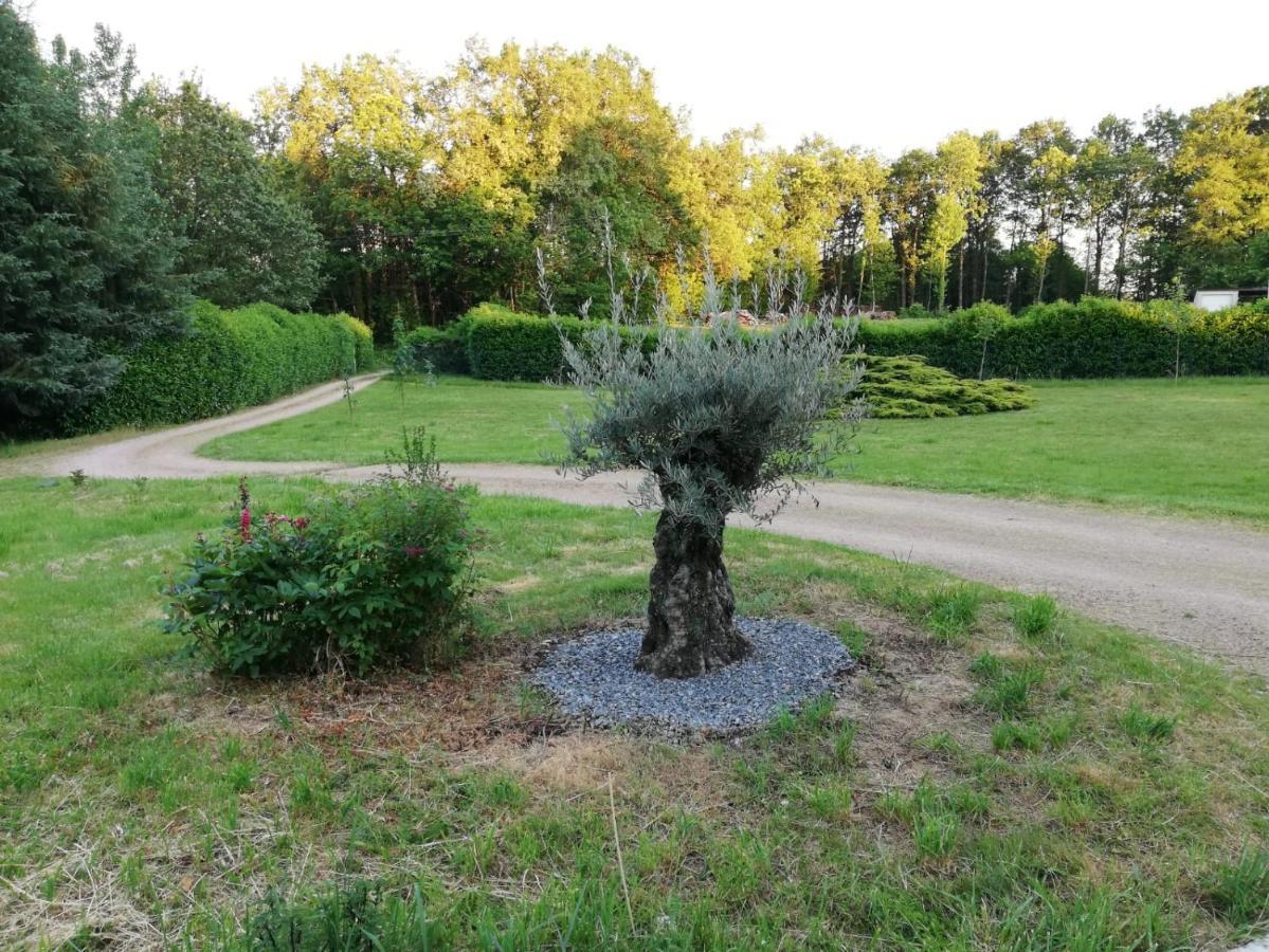 Le Gite Du Parc La Coquille 外观 照片